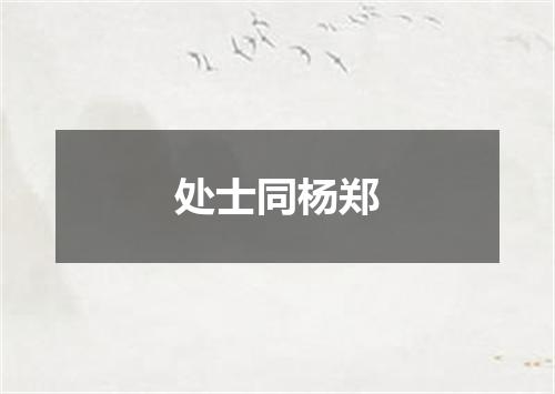 处士同杨郑