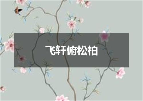飞轩俯松柏