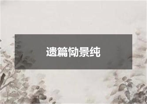 遗篇恸景纯