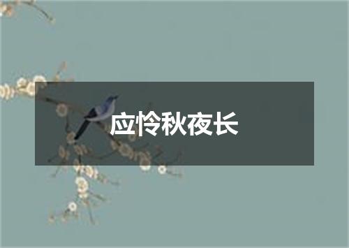 应怜秋夜长