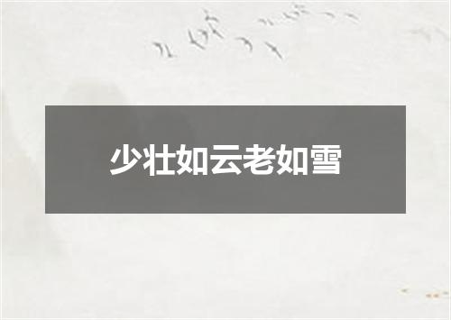 少壮如云老如雪