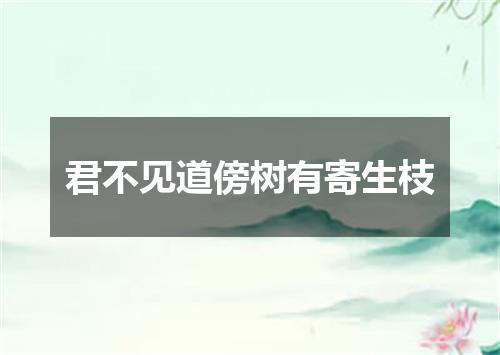 君不见道傍树有寄生枝