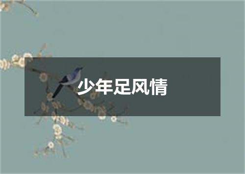 少年足风情