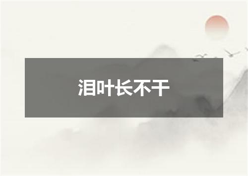 泪叶长不干