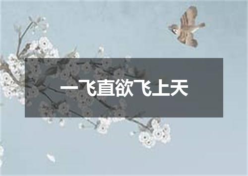 一飞直欲飞上天