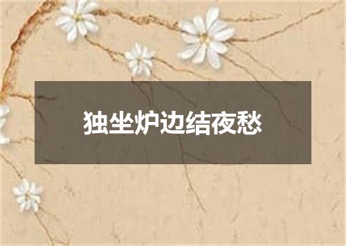 独坐炉边结夜愁