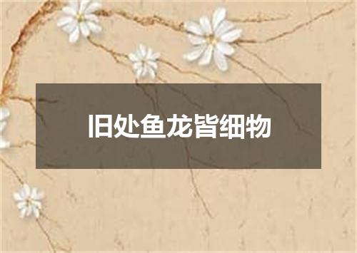 旧处鱼龙皆细物