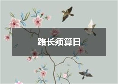 路长须算日