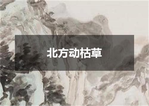 北方动枯草