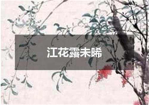 江花露未晞