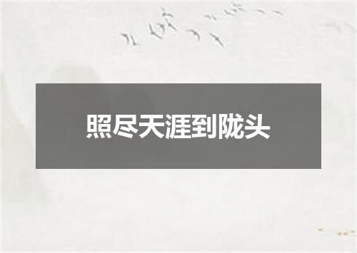 照尽天涯到陇头