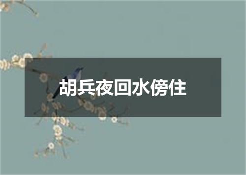 胡兵夜回水傍住