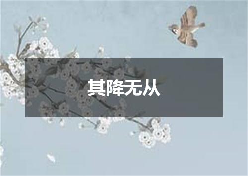 其降无从