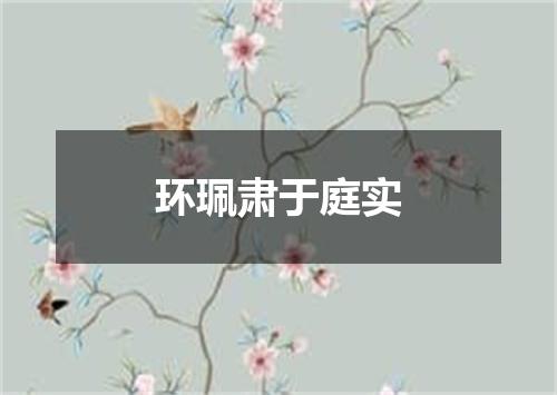 环珮肃于庭实