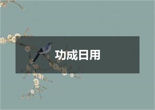 功成日用