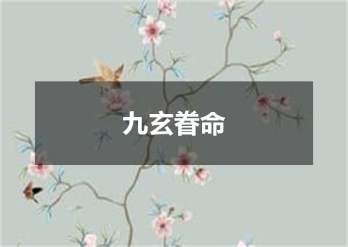 九玄眷命
