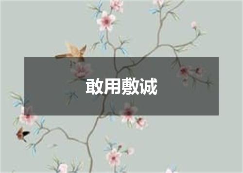 敢用敷诚