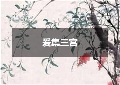 爰集三宫