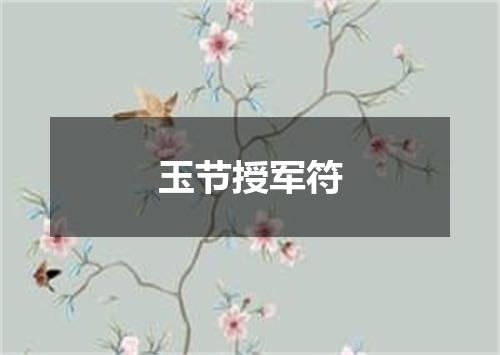 玉节授军符