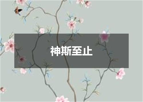 神斯至止
