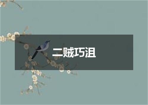 二贼巧沮