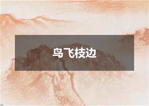 鸟飞枝边