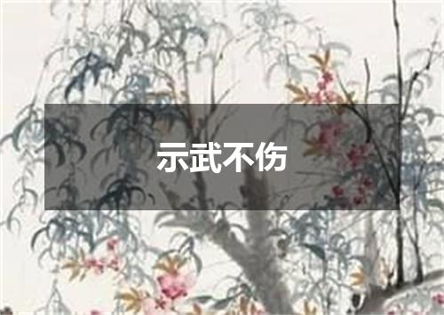 示武不伤