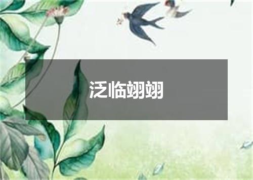 泛临翊翊