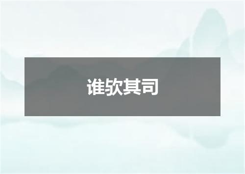 谁欤其司
