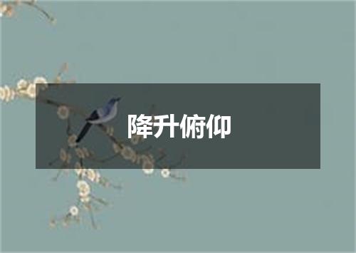 降升俯仰