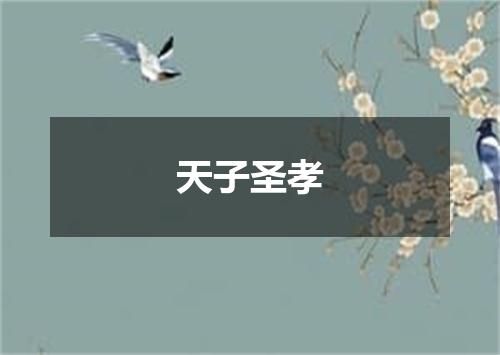 天子圣孝