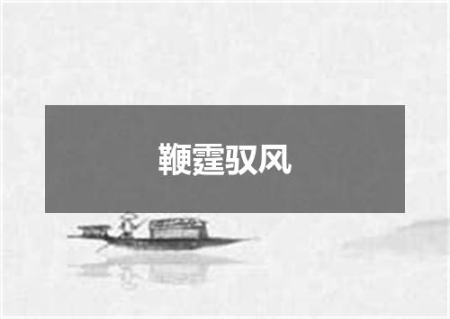 鞭霆驭风