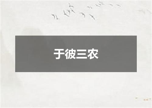 于彼三农