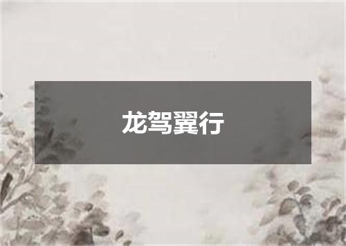 龙驾翼行