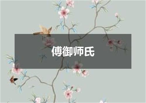 傅御师氏