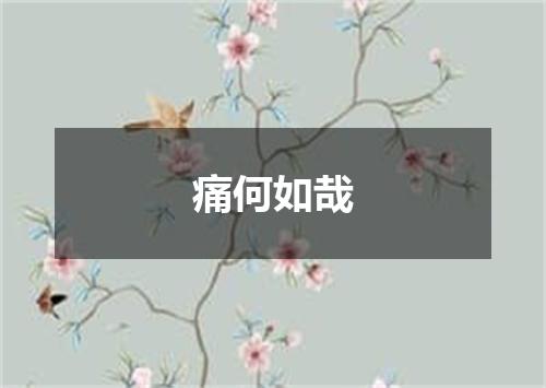 痛何如哉
