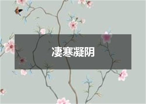 凄寒凝阴