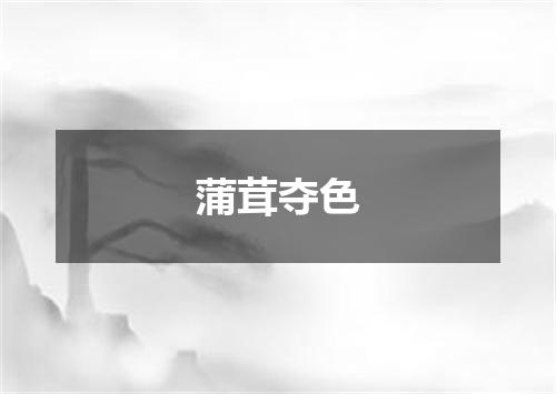 蒲茸夺色