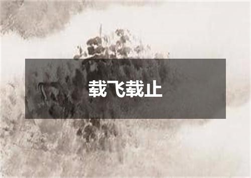 载飞载止