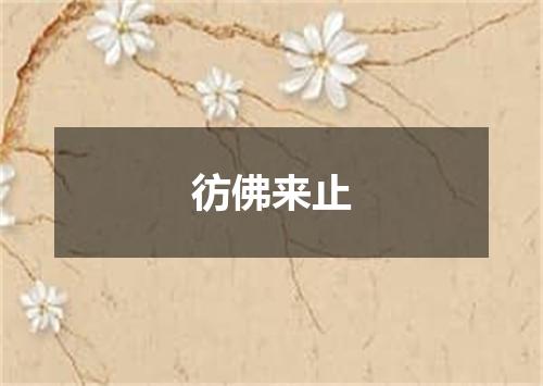 彷佛来止