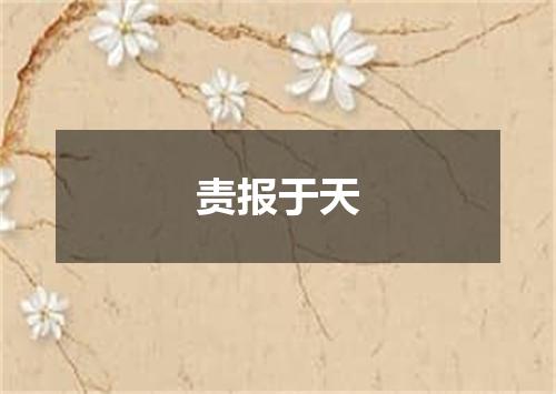 责报于天