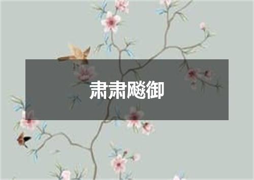 肃肃飚御