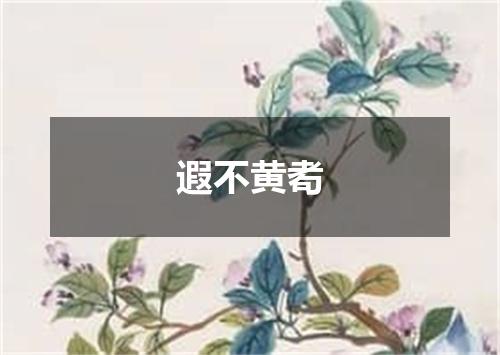遐不黄耇