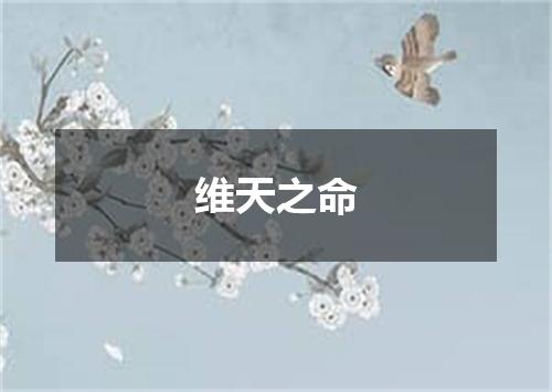 维天之命