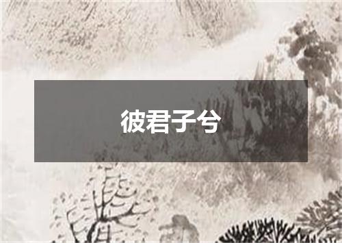 彼君子兮