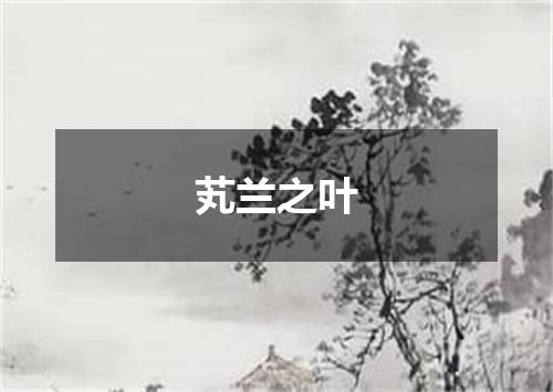 芄兰之叶