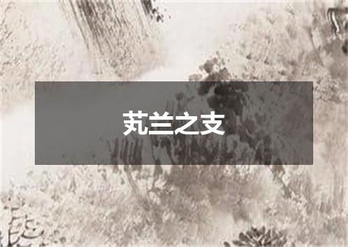 芄兰之支