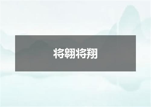 将翱将翔
