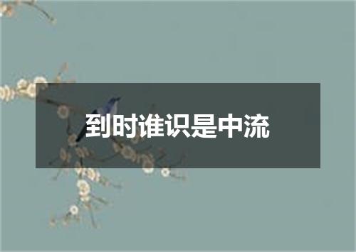 到时谁识是中流