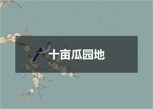 十亩瓜园地